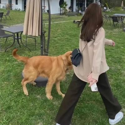 奈何寨主不好当